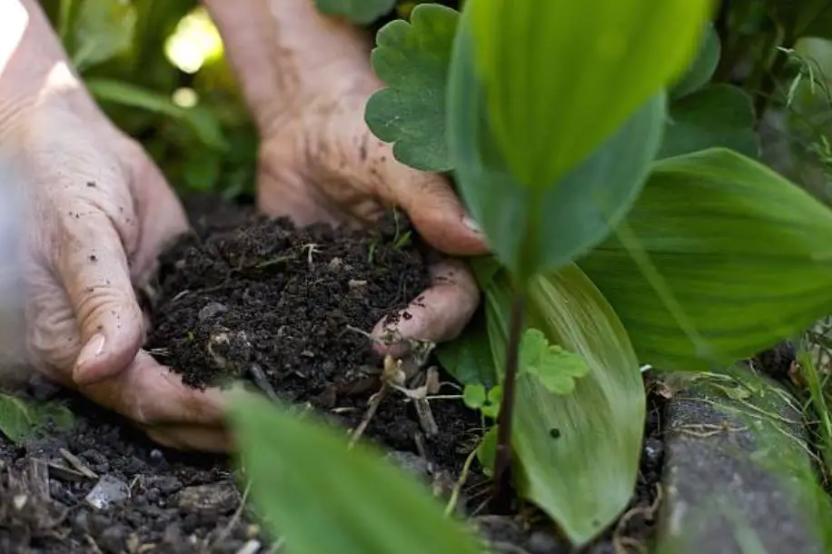 jardinage terre engrais fertiliser sol